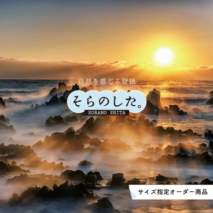 楽天市場 オーダー壁紙 壁紙 雲海 空 おしゃれ 写真 自然 雲 スカイ クラウド 雲の上 癒し 貼りやすい デザイン 防カビ 日本製 国産 リメイク 模様替え 店舗 天井 部屋 寝室 キッチン リビング トイレ 美しい 風景 景色 白 ブルー かべがみはるこ