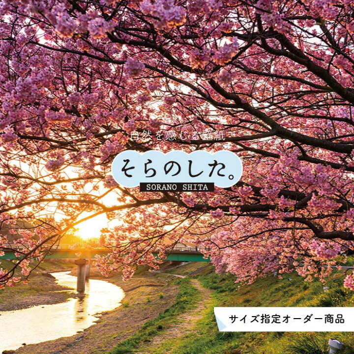 楽天市場 オーダー壁紙 壁紙 写真 花 植物 桜 おしゃれ ボタニカル 貼りやすい 自然 防カビ 日本製 国産 リメイク 模様替え 店 天井 部屋 寝室 キッチン リビング トイレ 風景 景色 かべがみはるこ そらのした かべがみはるこの壁紙工場