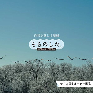 yI[_[ǎz ǎ   ʐ^ R _ XJC NEh  \₷ fUC hJr { Y CN ͗lւ X V  Q Lb` rO gC  