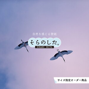 yI[_[ǎz ǎ   ʐ^ R _ XJC NEh  \₷ fUC hJr { Y CN ͗lւ X V  Q Lb` rO gC  