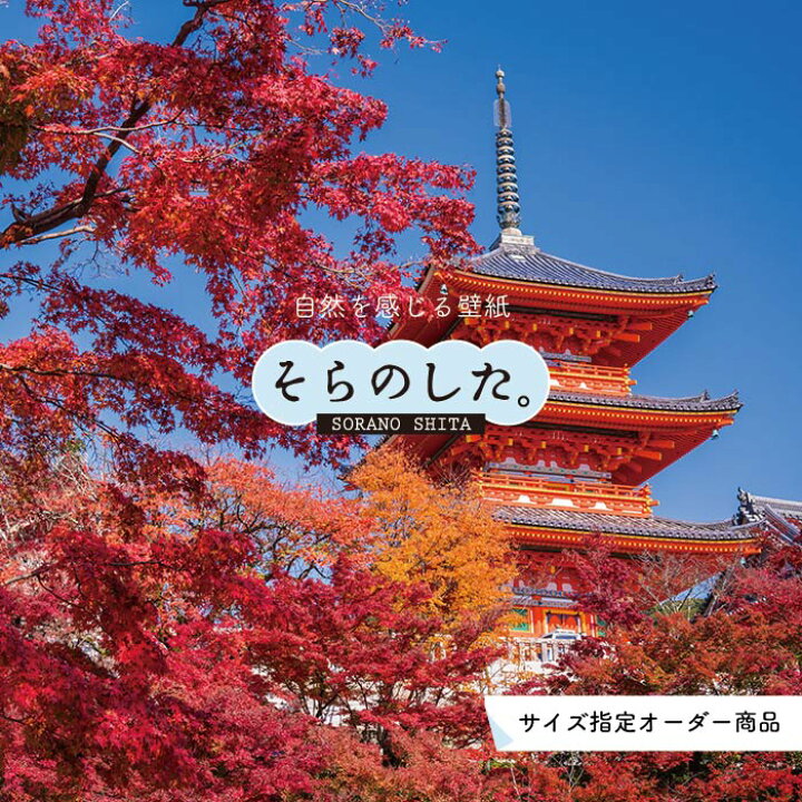 楽天市場 オーダー壁紙 壁紙 紅葉 秋 季節 森林 写真 おしゃれ 自然 貼りやすい デザイン 防カビ 日本製 国産 リメイク 模様替え 店 天井 部屋 寝室 キッチン リビング トイレ 秋景 景色 赤 黄 かべがみはるこ そらのした Ss かべがみはるこの壁紙工場