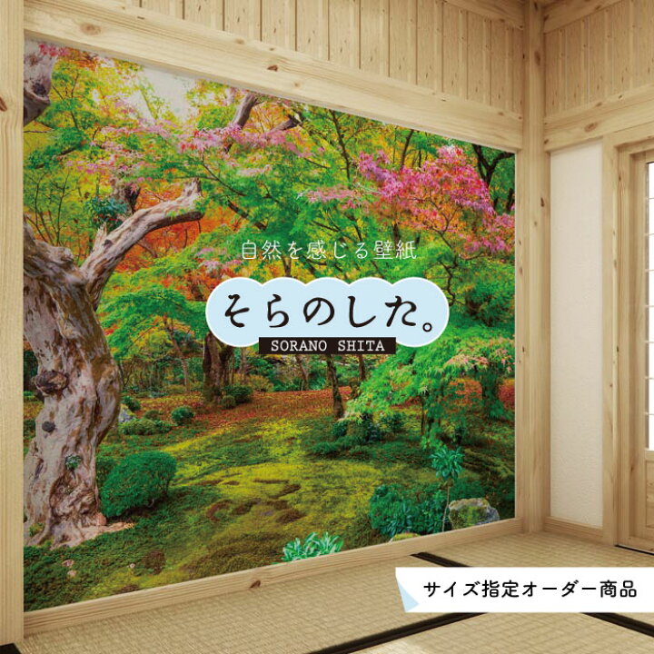 楽天市場】【オーダー壁紙】 壁紙 紅葉 秋 季節 森林 写真 おしゃれ  