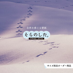 yI[_[ǎz ǎ  ʐ^  R \₷ fUC hJr { Y CN ͗lւ X V  Q Lb` rO gC i ~ iF zCg ׂ݂͂