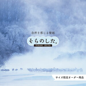 yI[_[ǎz ǎ  ʐ^  R \₷ fUC hJr { Y CN ͗lւ X V  Q Lb` rO gC i ~ iF zCg ׂ݂͂