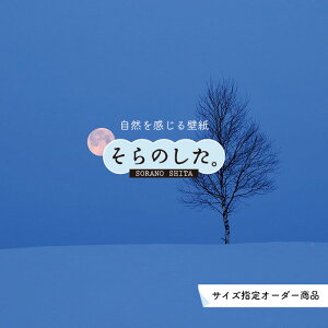 yI[_[ǎz ǎ  ʐ^  R \₷ fUC hJr { Y CN ͗lւ X V  Q Lb` rO gC i ~ iF zCg ׂ݂͂