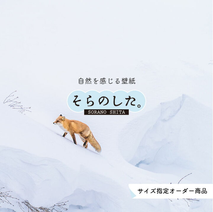 楽天市場 オーダー壁紙 壁紙 動物 キツネ 写真 おしゃれ 貼りやすい デザイン 国産 日本製 リメイク 模様替え 店 天井 部屋 寝室 キッチン リビング トイレ 風景 景色 かべがみはるこ そらのした かべがみはるこの壁紙工場 楽天市場 オーダー壁紙 壁紙 動物 キツネ 写真 おしゃれ 貼りやすい デザイン 国産 日本製 リメイク 模様替え 店 天井 部屋 寝室 キッチン リビング トイレ 風景 景色 かべがみはるこ そらのした かべがみはるこの壁紙工場