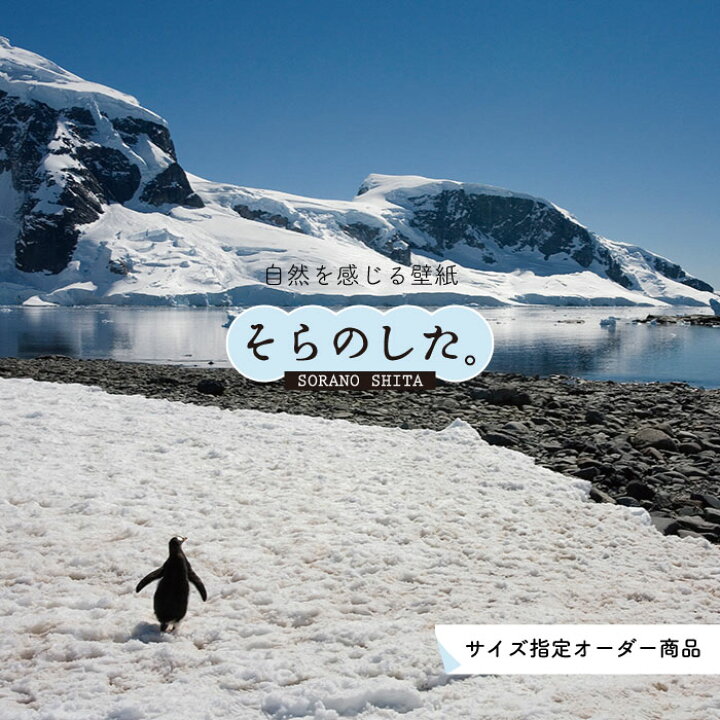 楽天市場 オーダー壁紙 壁紙 動物 ペンギン 写真 おしゃれ 貼りやすい デザイン 国産 日本製 リメイク 模様替え 店 天井 部屋 寝室 キッチン リビング トイレ 風景 景色 かべがみはるこ そらのした かべがみはるこの壁紙工場 楽天市場 オーダー壁紙 壁紙 動物 ペンギン 写真 おしゃれ 貼りやすい デザイン 国産 日本製 リメイク 模様替え 店 天井 部屋 寝室 キッチン リビング トイレ 風景 景色 かべがみはるこ そらのした かべがみはるこの壁紙工場