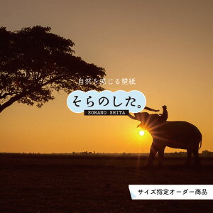 yI[_[ǎz ǎ   ]E ʐ^  \₷ fUC Y { CN ͗lւ X V  Q Lb` rO gC i iF ׂ݂͂邱 ̂