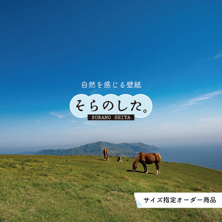 楽天市場 オーダー壁紙 壁紙 動物 馬 うま 写真 おしゃれ 貼りやすい デザイン 国産 日本製 リメイク 模様替え 店 天井 部屋 寝室 キッチン リビング トイレ 風景 景色 かべがみはるこ そらのした かべがみはるこの壁紙工場