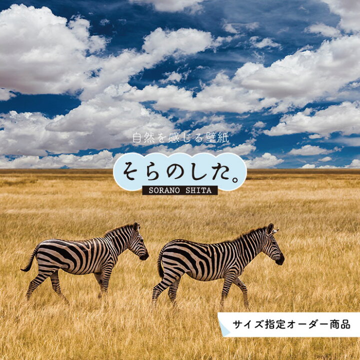 楽天市場 オーダー壁紙 壁紙 動物 しまうま 写真 おしゃれ 貼りやすい デザイン 国産 日本製 リメイク 模様替え 店 天井 部屋 寝室 キッチン リビング トイレ 風景 景色 かべがみはるこ そらのした かべがみはるこの壁紙工場