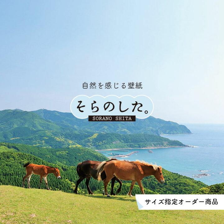 楽天市場 オーダー壁紙 壁紙 動物 馬 うま 写真 おしゃれ 貼りやすい デザイン 国産 日本製 リメイク 模様替え 店 天井 部屋 寝室 キッチン リビング トイレ 風景 景色 かべがみはるこ そらのした かべがみはるこの壁紙工場