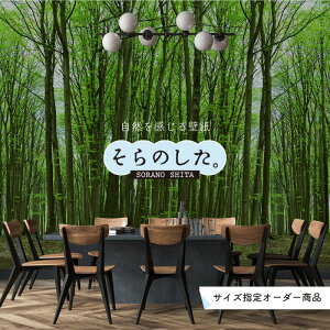 yI[_[ǎz ǎ X  ʐ^  R  \₷ fUC hJr { Y CN ͗lւ X V  Q Lb` rO gC i iF O[ 