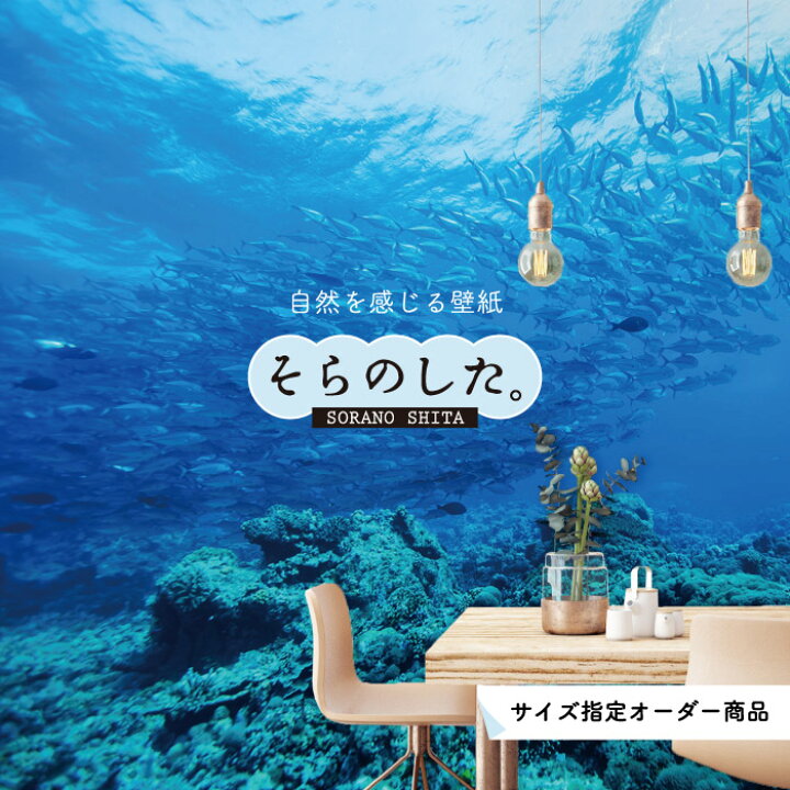 楽天市場 オーダー壁紙 壁紙 海の中 水中 ダイビング サンゴ 熱帯魚 サンゴ礁 写真 おしゃれ 自然 幻想的 貼りやすい デザイン 防カビ 日本製 国産 リメイク 模様替え 店舗 天井 部屋 寝室 キッチン リビング トイレ 風景 景色 ブルー かべがみはるこ そらのした 楽天市場 オーダー壁紙 壁紙 海の中 水中 ダイビング サンゴ 熱帯魚 サンゴ礁 写真 おしゃれ 自然 幻想的 貼りやすい デザイン 防カビ 日本製 国産 リメイク 模様替え 店舗 天井 部屋 寝室 キッチン リビング トイレ 風景 景色 ブルー かべがみはるこ そらのした