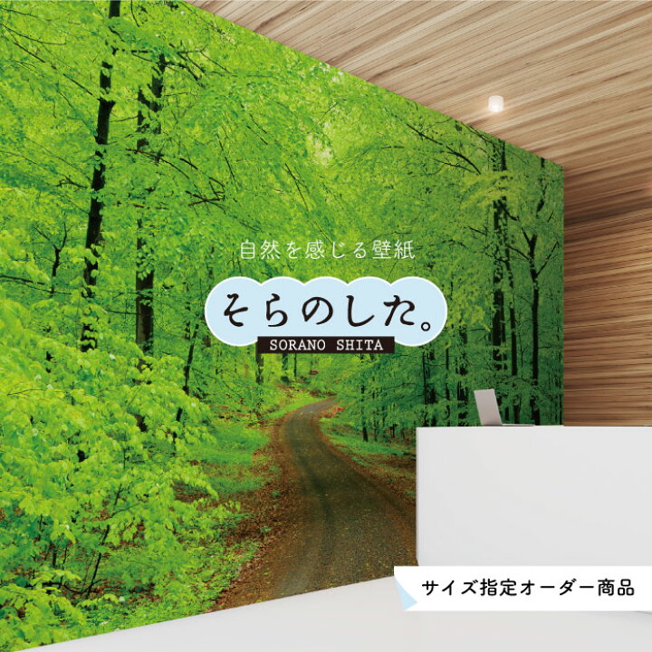 楽天市場 オーダー壁紙 壁紙 森林 写真 おしゃれ 自然 爽やか 癒し 貼りやすい デザイン 防カビ 日本製 国産 リメイク 模様替え ホテル オフィス クリニック 部屋 寝室 キッチン リビング トイレ 風景 景色 グリーン かべがみはるこ そらのした かべがみはるこの