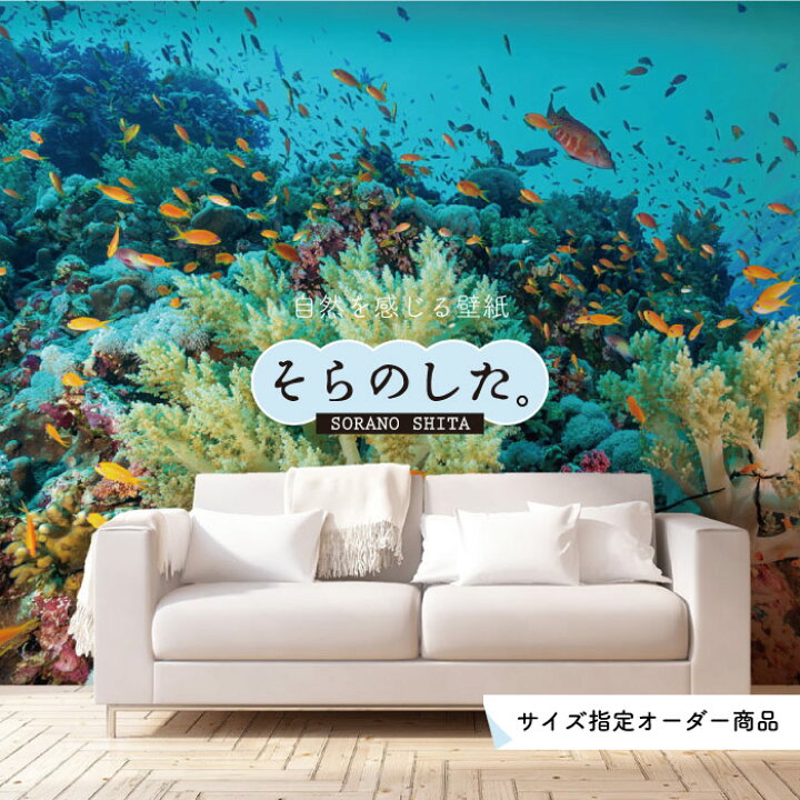 楽天市場 オーダー壁紙 壁紙 海の中 水中 ダイビング サンゴ 熱帯魚 サンゴ礁 写真 おしゃれ 自然 幻想的 貼りやすい デザイン 防カビ 日本製 国産 リメイク 模様替え 店舗 天井 部屋 寝室 キッチン リビング トイレ 風景 景色 ブルー かべがみはるこ そらのした