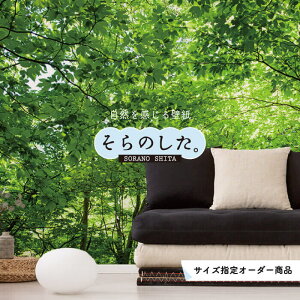 yI[_[ǎz ǎ X ʐ^  R  \₷ fUC hJr { Y CN ͗lւ X V  Q Lb` rO gC i iF O[ ׂ