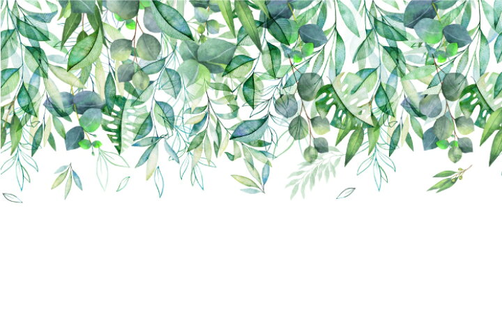 楽天市場 サイズオーダー 壁紙 グリーン ボタニカル 水彩 イラスト 自然 植物柄 おしゃれ ナチュラル 綺麗 淡い 日本製 カフェ ショップ オフィス 店舗 内装 商業施設 グラフィッククロス アクセントクロス リメイク 張り替え かべがみはるこ かべがみはるこの壁紙工場