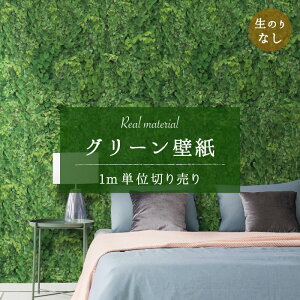 y1mP ؂蔄z ǎ ̂薳 O[ {^jJ A R ʐ^ A  Vv i` { JtF Vbv ItBX X  Ǝ{ ze NjbN g