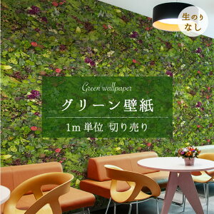 y1mP ؂蔄z ǎ ̂薳 O[ {^jJ A R ʐ^ A  Vv i` { JtF Vbv ItBX X  Ǝ{ ze NjbN g