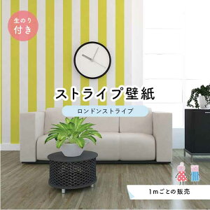 y1mP ؂蔄zyXgCv11.25cmz ǎ XgCv  CeA Yǎ ̂t ANZgNX CG[ ׂ݂͂邱 Zƃ} hXgCv ylst0039nz