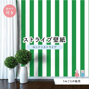 y1mP ؂蔄zyXgCv11.25cmz ǎ XgCv  CeA Yǎ ̂t ANZgNX O[ ׂ݂͂邱 Zƃ} hXgCv ylst0063nz