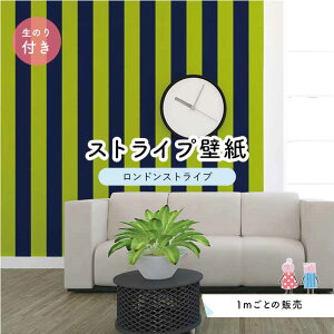 y1mP ؂蔄zyXgCv11.25cmz ǎ XgCv  CeA Yǎ ̂t ANZgNX lCr[ O[ ׂ݂͂邱 Zƃ} hXgCv ylst00