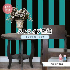 y1mP ؂蔄zyXgCv11.25cmz ǎ XgCv  CeA Yǎ ̂t ANZgNX ubN O[ ׂ݂͂邱 Zƃ} hXgCv ylst00