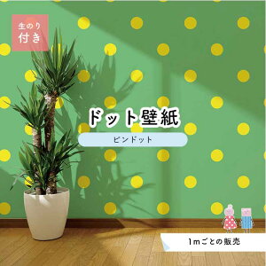 y1mP ؂蔄z ǎ hbg Vv ̂t ANZgNX rrbg O[ CG[ hbgTCY5.2cm hJr Y { X  CeA Lb` gC tH[