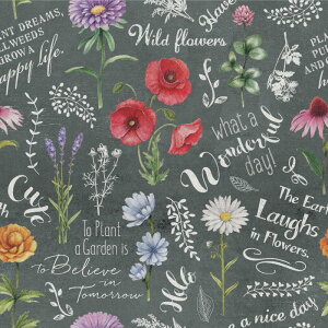 y1mP ؂蔄z ǎ {^jJ `[N t[  fUC ̂薳 ̂t ubN O[ O[ { JtF Xg ze ItBX  ANZgN