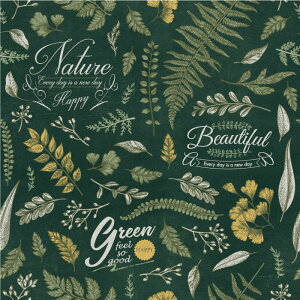 y1mP ؂蔄z ǎ {^jJ `[N A  fUC ̂薳 ubN u[ O[ { JtF Xg Vbv ze ItBX X  OtBbNN