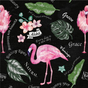 y1mP ؂蔄z ǎ {^jJ `[N t~S  fUC ̂薳 ubN x[W u[ { JtF Xg Vbv ze ItBX X  OtB