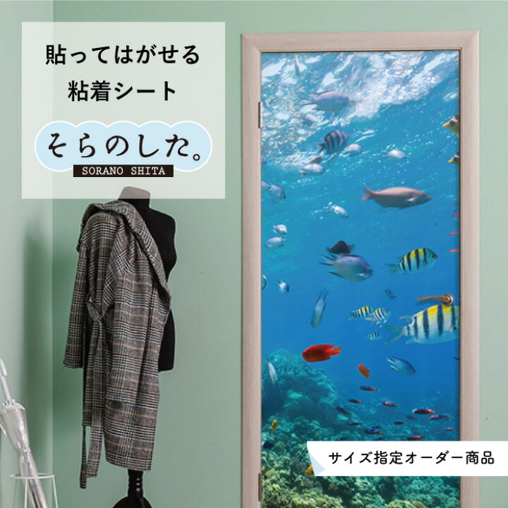 楽天市場 サイズオーダー 写真 高発色 再剥離シート 貼ってはがせる 国産 防水 壁紙 のり付き 海 海中 水中 ダイビング 幻想的 おしゃれ シール リメイクシート Diy トイレ ガラス ブルー風景 景色 かべがみはるこ そらのした かべがみはるこの壁紙工場