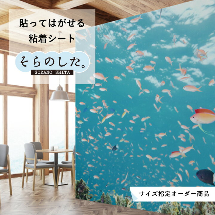 楽天市場 サイズオーダー 写真 高発色 再剥離シート 貼ってはがせる 国産 防水 壁紙 のり付き 海 海中 水中 ダイビング 幻想的 おしゃれ シール リメイクシート Diy トイレ ガラス ブルー風景 景色 かべがみはるこ そらのした かべがみはるこの壁紙工場