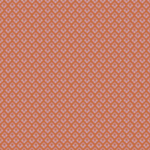 y5m/10m/20mIׂ郍bg̔z a a ǎ ̂Ȃ ̂t a ̎q ͗l  \₷ Q  hJrsRǎ Y X ze  QXgnEX rO { _