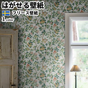 ǎ Aǎ BORASTAPETER Icons 53cmx10m S1F ͂ǎ \Ă͂ǎ t[Xǎ  diy k  CeA XEF[f {X^y[^[  ʎ A S  O