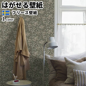 ǎ Aǎ BORASTAPETER Newbie II 53cmx10m S1F ͂ǎ \Ă͂ǎ t[Xǎ  diy k  CeA XEF[f {X^y[^[ A  ׂ݊v