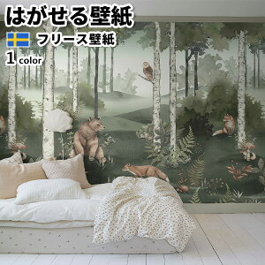 ǎ Aǎ BORASTAPETER Newbie II 6Ѓpl 294cm 265cm S1F ͂ǎ \Ă͂ǎ t[Xǎ  diy k  CeA XEF[f {X^y[^[  