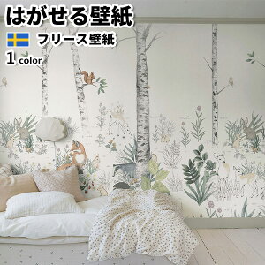 ǎ Aǎ BORASTAPETER Newbie II 6Ѓpl 270cm 265cm S1F ͂ǎ \Ă͂ǎ t[Xǎ  diy k  CeA XEF[f {X^y[^[  