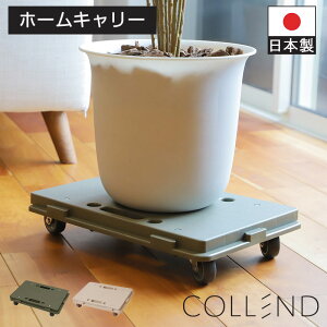 z[L[ ƒp  A ςݏd˃RpNg [ q COLLEND Rh x[W I[u uV Lv