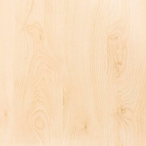 y10%OFFN[|zCNV[g ؖ ؖڒ V[g hCc d-c-fix 90cm×1mPʐ؂蔄 15m tH[V[g CeAV[g SV[g diy  hA  Ki Ƌ fXN N[[