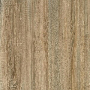 y10%OFFN[|zCNV[g ؖ 嗝   ؖڒ V[g hCc d-c-fix 90cm×210cm tH[V[g CeAV[g SV[g diy  hA  Ki Ƌ fXN  N[[b