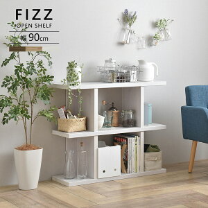 VFt I[vVFt bN [^Cv90cm Fizz tBY S3F shelf rack