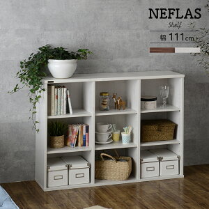 VFt I[vVFt bN 120cm NEFLAS ltX S2F shelf rack