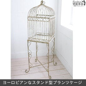 ベスト鳥かご オシャレ 最高の壁紙コレクション