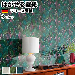 ǎ Aǎ rasch Curiosity 53cmx10m S3F ͂ǎ \Ă͂ǎ t[Xǎ  ւ diy k  CeA hCc bV {^jJ ԕ G  x[W O