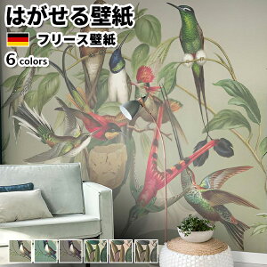 ǎ Aǎ rasch Curiosity 318cm 300cm S6F ͂ǎ \Ă͂ǎ t[Xǎ  ւ diy k  CeA hCc bV RN RN[g z