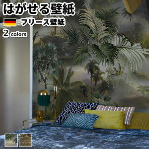 ǎ Aǎ rasch Curiosity 371cm 300cm S2F ͂ǎ \Ă͂ǎ t[Xǎ  ւ diy k  CeA hCc bV {^jJ Aj}  