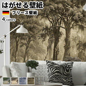 ǎ Aǎ rasch Curiosity 318cm 265cm S4F ͂ǎ \Ă͂ǎ t[Xǎ  ւ diy k  CeA hCc bV {^jJ Aj}  