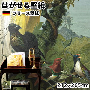 ǎ Aǎ rasch Curiosity 212cm 265cm S1F ͂ǎ \Ă͂ǎ t[Xǎ  ւ diy k  CeA hCc bV {^jJ Aj}  