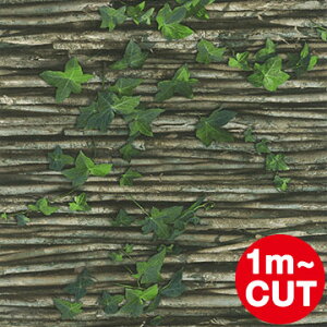 y1mP ؂蔄/݌ɁzyOK^t[Xǎzǎ \Ă͂ǎ hΔFi rasch 2018 bV  ͂ ǎ  DIY OK hCc  Ö ACr[ jO 